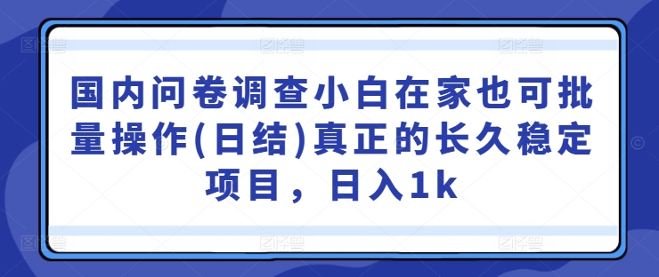 图片[1]-国内问卷调查小白在家也可批量操作(日结)真正的长久稳定项目，日入1k-大松资源网