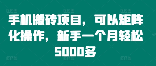 图片[1]-手机搬砖项目，可以矩阵化操作，新手一个月轻松5000多-大松资源网