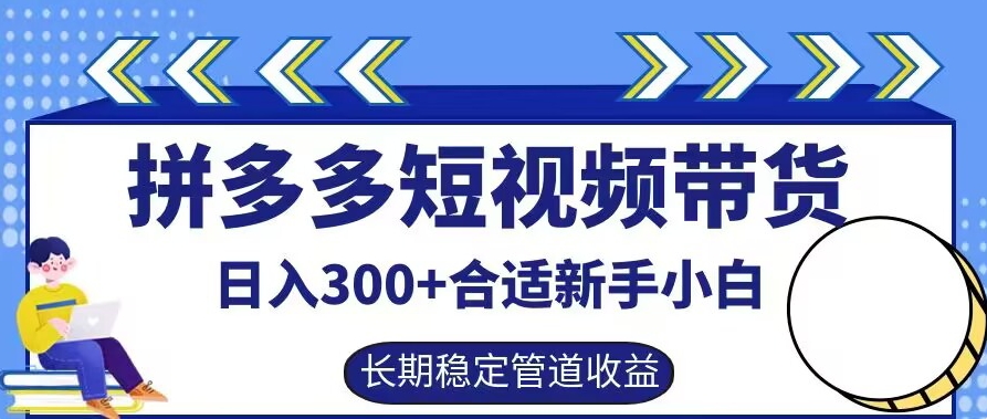 图片[1]-拼多多短视频带货日入300+有长期稳定被动收益，合适新手小白-大松资源网