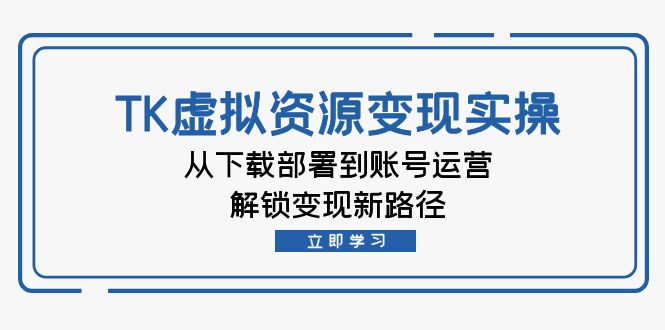 图片[1]-TK虚拟资源变现实操：从下载部署到账号运营，解锁变现新路径-大松资源网