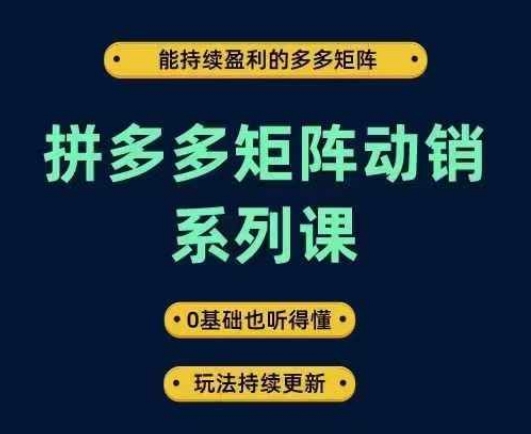 图片[1]-拼多多矩阵动销系列课，能持续盈利的多多矩阵，0基础也听得懂，玩法持续更新-大松资源网