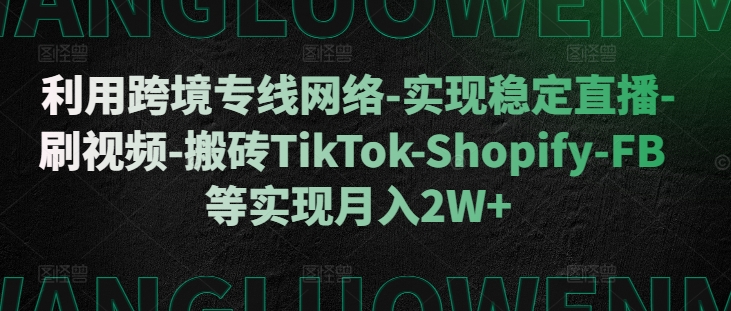 图片[1]-利用跨境专线网络-实现稳定直播-刷视频-搬砖TikTok-Shopify-FB等实现月入2W+-大松资源网