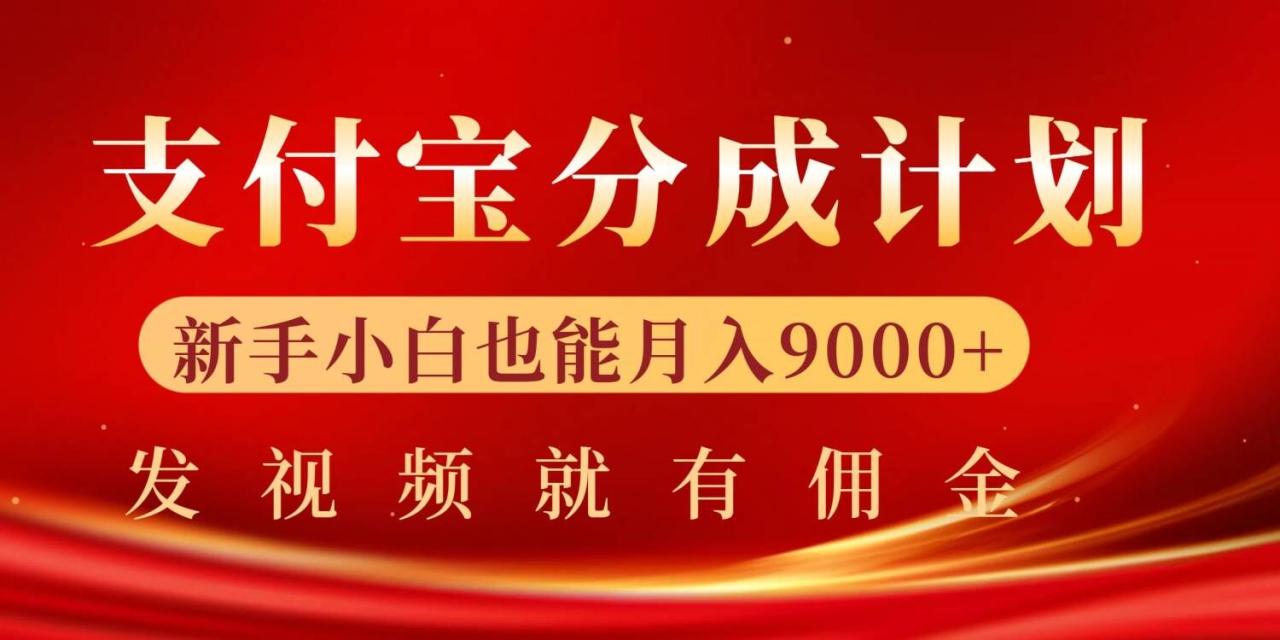 图片[1]-支付宝视频分成计划，一万播放200-300+，抓紧来干-大松资源网