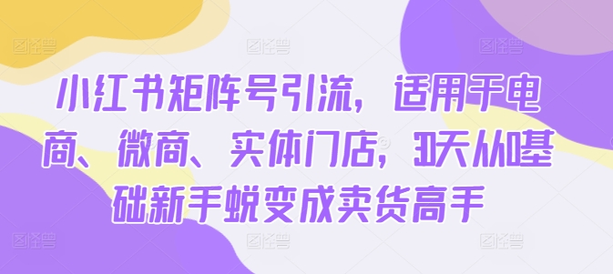 图片[1]-小红书矩阵号引流，适用于电商、微商、实体门店，30天从0基础新手蜕变成卖货高手-大松资源网