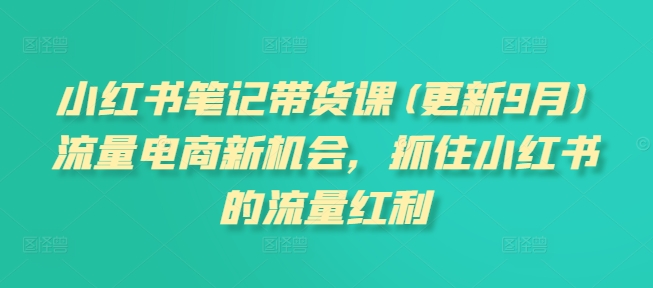 图片[1]-小红书笔记带货课(更新10月)流量电商新机会，抓住小红书的流量红利-大松资源网