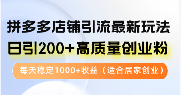 图片[1]-（12893期）拼多多店铺引流最新玩法，日引200+高质量创业粉，每天稳定1000+收益（…-大松资源网