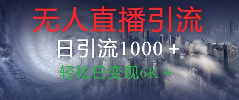 图片[1]-抖音快手视频号全平台无人直播引流1000+精准创业粉玩法拆解-大松资源网