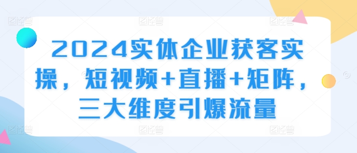 图片[1]-2024实体企业获客实操，短视频+直播+矩阵，三大维度引爆流量-大松资源网