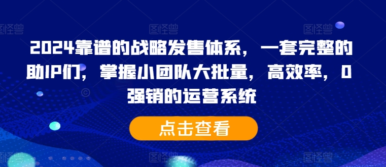 图片[1]-2024靠谱的战略发售体系，一套完整的助IP们，掌握小团队大批量，高效率，0 强销的运营系统-大松资源网