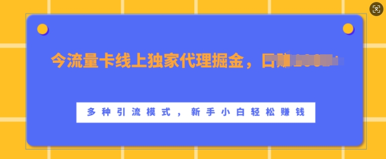 图片[1]-流量卡线上独家代理掘金，日入1k+ ，多种引流模式，新手小白轻松上手-大松资源网