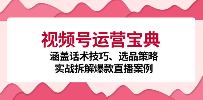 图片[1]-（12808期）视频号运营宝典：涵盖话术技巧、选品策略、实战拆解爆款直播案例-大松资源网