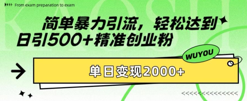 图片[1]-简单暴力引流，轻松达到日引500+精准创业粉，单日变现2k-大松资源网