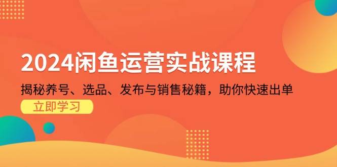 图片[1]-2024闲鱼运营实战课程：揭秘养号、选品、发布与销售秘籍，助你快速出单-大松资源网