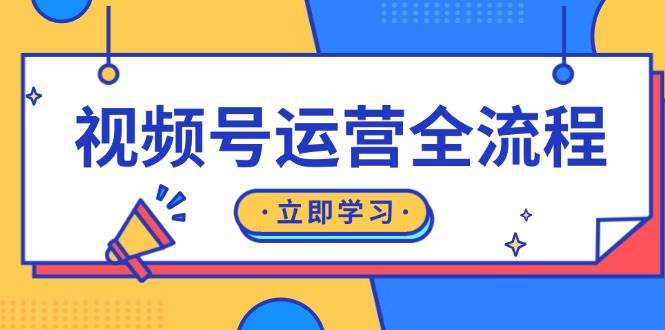 图片[1]-视频号运营全流程：起号方法、直播流程、私域建设及自然流与付费流运营-大松资源网