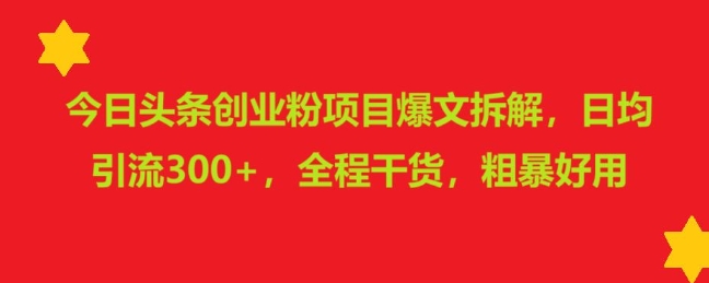 图片[1]-今日头条创业粉项目爆文拆解，日均引流300+，全程干货，粗暴好用-大松资源网