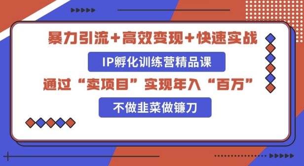 图片[1]-知识付费独家玩法：精准引流+高效变现，简单复制成功模式，最新IP共创导师训练营玩法-大松资源网