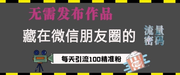 图片[1]-藏在微信朋友圈的流量密码，无需发布作品，单日引流100+精准创业粉-大松资源网