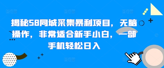 图片[1]-揭秘58同城采集暴利项目，无脑操作，非常适合新手小白，一部手机轻松日入-大松资源网