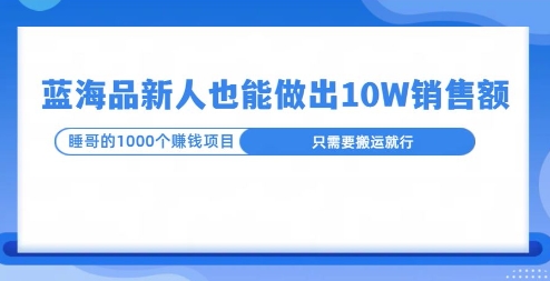 图片[1]-这个蓝海品，新号也能卖出10W的销售额，年底疯狂怼量就能出结果-大松资源网