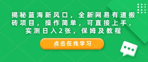 图片[1]-揭秘蓝海新风口，全新网易有道搬砖项目，操作简单，可直接上手，实测日入2张，保姆及教程-大松资源网