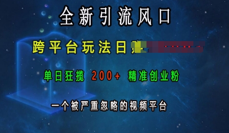 图片[1]-全新引流风口，跨平台玩法日入上k，单日狂揽200+精准创业粉，一个被严重忽略的视频平台-大松资源网