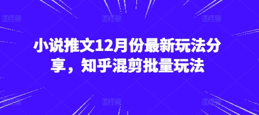 图片[1]-小说推文12月份最新玩法分享，知乎混剪批量玩法-大松资源网