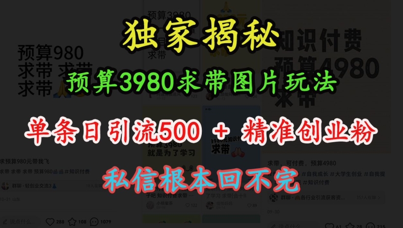 图片[1]-预算3980求带 图片玩法，单条日引流500+精准创业粉，私信根本回不完-大松资源网