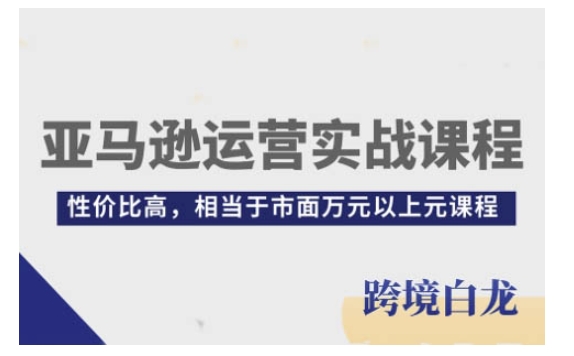 图片[1]-亚马逊运营实战课程，亚马逊从入门到精通，性价比高，相当于市面万元以上元课程-大松资源网