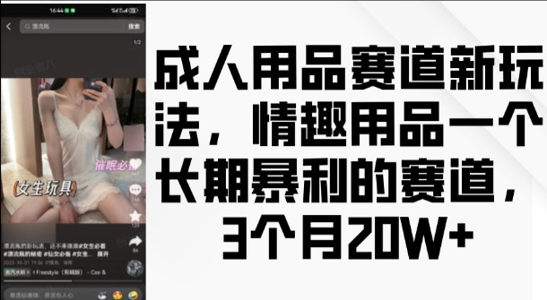 图片[1]-成人用品赛道新玩法，情趣用品一个长期暴利的赛道，3个月收益20个-大松资源网