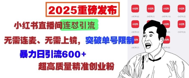 图片[1]-2025重磅发布：小红书直播间连怼引流，无需连麦、无需上镜，突破单号限制，暴力日引流600+-大松资源网