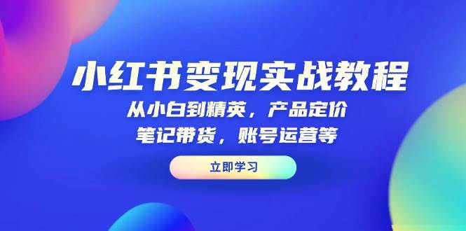 图片[1]-小红书变现实战教程：从小白到精英，产品定价，笔记带货，账号运营等-大松资源网