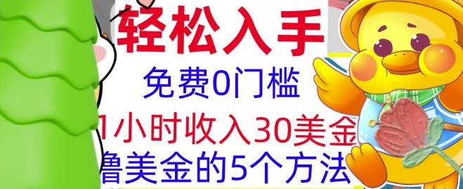 图片[1]-免费撸美刀的5个方法，1小时收入30美刀，0门槛，轻松入手-大松资源网