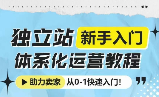 图片[1]-独立站新手入门体系化运营教程，助力独立站卖家从0-1快速入门!-大松资源网