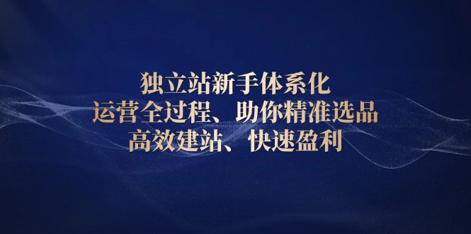 图片[1]-（13914期）独立站新手体系化 运营全过程，助你精准选品、高效建站、快速盈利-大松资源网