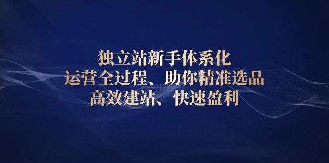 图片[1]-独立站新手体系化 运营全过程，助你精准选品、高效建站、快速盈利-大松资源网