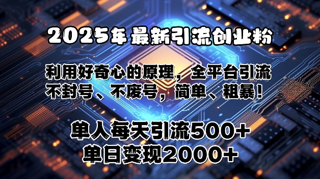 图片[1]-2025年最新引流创业粉，利用好奇心的原理，全平台引流，不封号、不废号，简单、粗暴-大松资源网