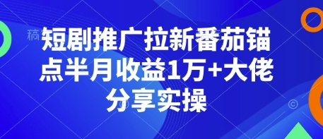 图片[1]-短剧推广拉新番茄锚点半月收益1万+大佬分享实操-大松资源网