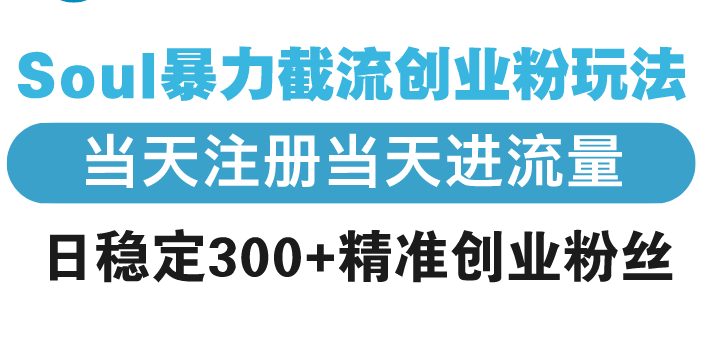 图片[1]-（13935期）Soul暴力截流创业粉玩法，当天注册当天进流量，日稳定300+精准创业粉丝-大松资源网