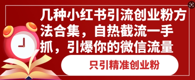 图片[1]-几种小红书引流创业粉方法合集，自热截流一手抓，引爆你的微信流量-大松资源网