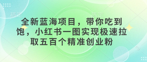 图片[1]-全新蓝海项目，带你吃到饱，小红书一图实现极速拉取五百个精准创业粉-大松资源网